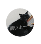 つくしすたんぷ。（個別スタンプ：2）