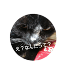 つくしすたんぷ。（個別スタンプ：4）