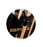 つくしすたんぷ。（個別スタンプ：6）