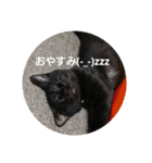 つくしすたんぷ。（個別スタンプ：8）