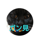つくしすたんぷ。（個別スタンプ：12）