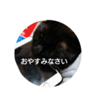 つくしすたんぷ。（個別スタンプ：13）