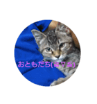 つくしすたんぷ。（個別スタンプ：14）