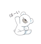 日常くまさん（個別スタンプ：1）