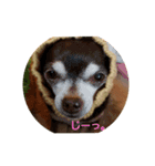 くん♡（個別スタンプ：5）
