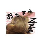 ショコラ！毎日使う？スタンプ（個別スタンプ：6）
