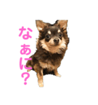 ぷぅちゃんの日常スタンプ（個別スタンプ：4）