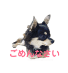 ぷぅちゃんの日常スタンプ（個別スタンプ：11）