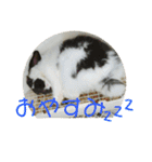 愛兎ノア♡（個別スタンプ：2）
