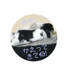 愛兎ノア♡（個別スタンプ：7）
