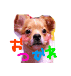 ふわまるスタンプ 1（個別スタンプ：5）