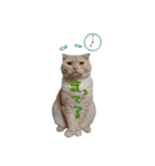 きなことおもち①（個別スタンプ：2）