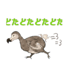気になる生物スタンプ（個別スタンプ：1）