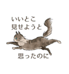 気になる生物スタンプ（個別スタンプ：14）