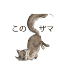 気になる生物スタンプ（個別スタンプ：15）