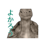 気になる生物スタンプ（個別スタンプ：24）