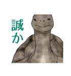 気になる生物スタンプ（個別スタンプ：25）