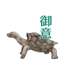 気になる生物スタンプ（個別スタンプ：26）