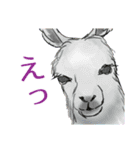 気になる生物スタンプ（個別スタンプ：38）