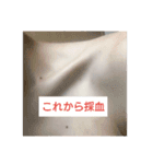 年明け入院よ（個別スタンプ：5）