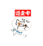 DIDのためのスタンプ（個別スタンプ：1）