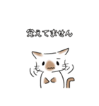 DIDのためのスタンプ（個別スタンプ：9）