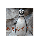 いろいろなどうぶつ（個別スタンプ：26）