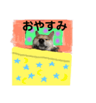 エル柴3（個別スタンプ：19）