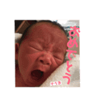 そうまんま2（個別スタンプ：5）