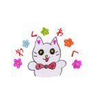 にゃんPスタンプ1（個別スタンプ：17）