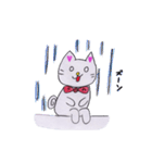 にゃんPスタンプ1（個別スタンプ：21）