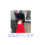 愛娘光のスタンプ（個別スタンプ：4）