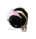 うさぎ3（個別スタンプ：14）