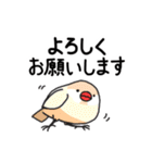 いろんな文鳥あつめました。（個別スタンプ：1）