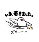 いろんな文鳥あつめました。（個別スタンプ：10）