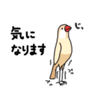 いろんな文鳥あつめました。（個別スタンプ：14）