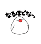いろんな文鳥あつめました。（個別スタンプ：16）