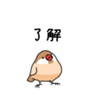 いろんな文鳥あつめました。（個別スタンプ：17）