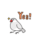 いろんな文鳥あつめました。（個別スタンプ：19）
