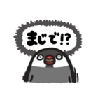 いろんな文鳥あつめました。（個別スタンプ：22）