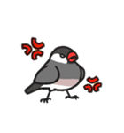 いろんな文鳥あつめました。（個別スタンプ：24）