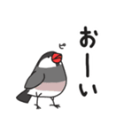 いろんな文鳥あつめました。（個別スタンプ：28）