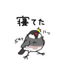 いろんな文鳥あつめました。（個別スタンプ：31）