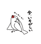 いろんな文鳥あつめました。（個別スタンプ：32）