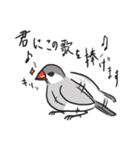 いろんな文鳥あつめました。（個別スタンプ：35）