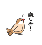 いろんな文鳥あつめました。（個別スタンプ：38）