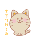 もちもちねこ型スタンプ①（個別スタンプ：14）