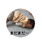 おそらパート2（個別スタンプ：29）