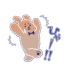 困り顔のトイプーwithアルパカ（個別スタンプ：6）