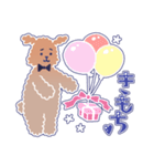 困り顔のトイプーwithアルパカ（個別スタンプ：12）